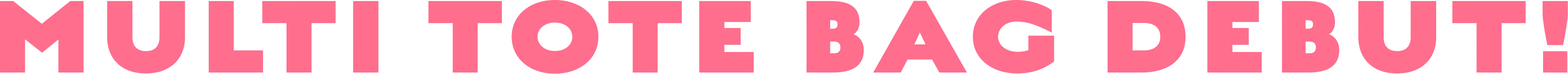 MULTI TOTE BAG DEBUT!